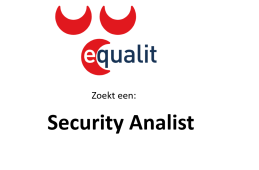 Security Analist